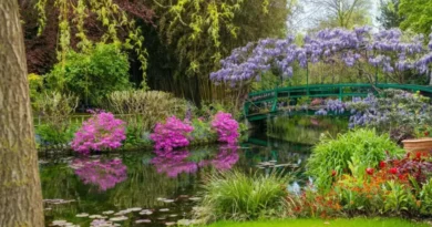 Visitez la maison et les jardins de Monet à Giverny, un lieu emblématique à seulement trois heures de Cherbourg