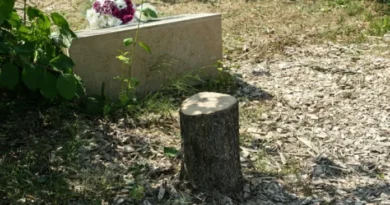 Emmanuel Macron dénonce la haine antisémite après l’abattage de l’arbre mémorial